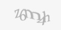 Защитный код